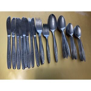 Vintage Radiant Rose Superior Stainless USA Flatware Set 50pc Service for 8